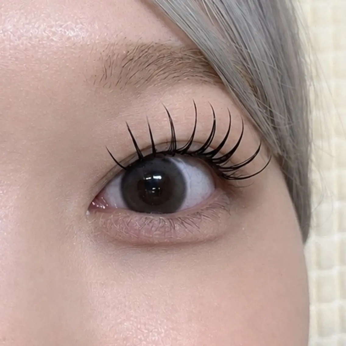 🍀アンドヘルシー 100本🍀の写真