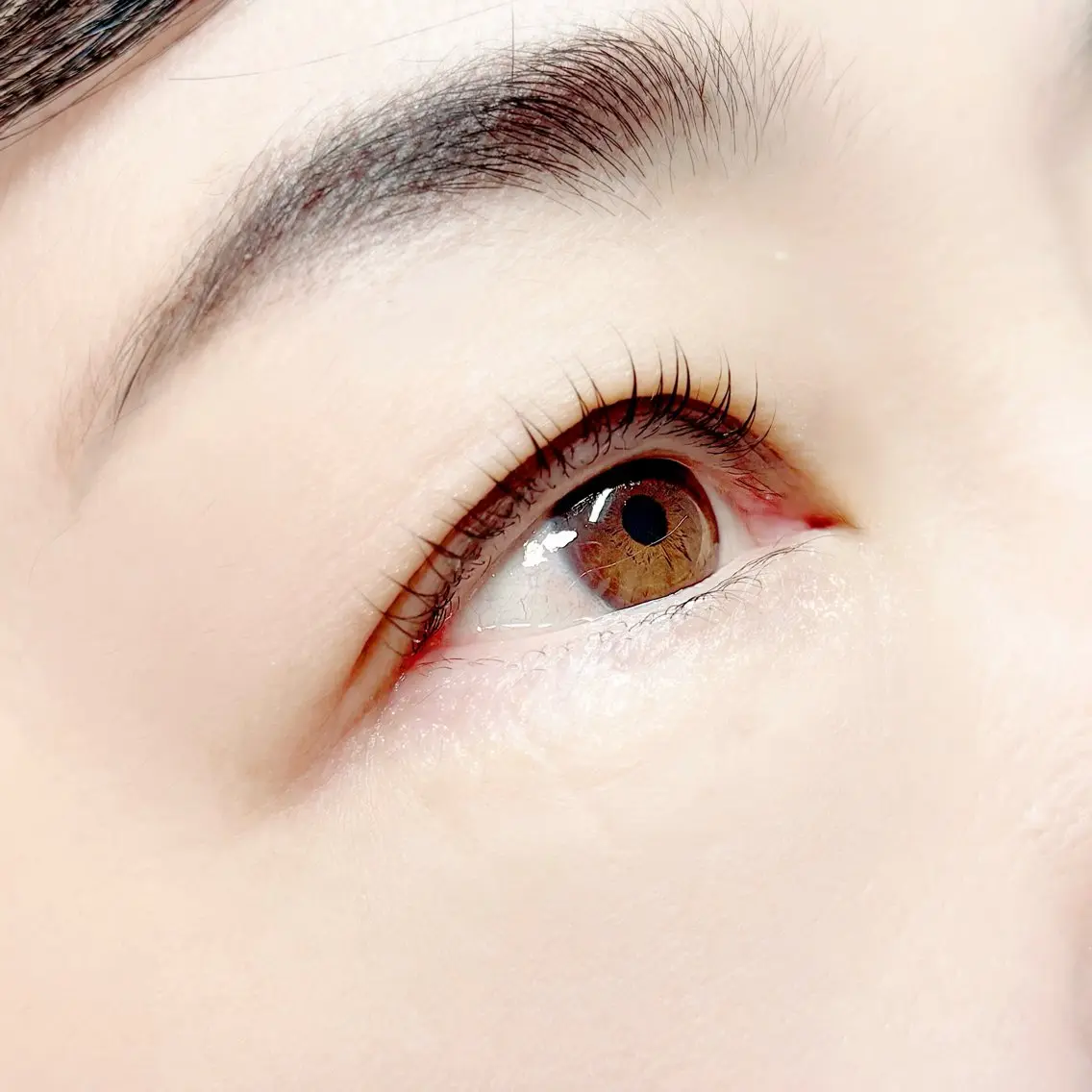 【平日16時まで限定】まつげパーマ上・下セット👀🎀コーティング付き✨の写真