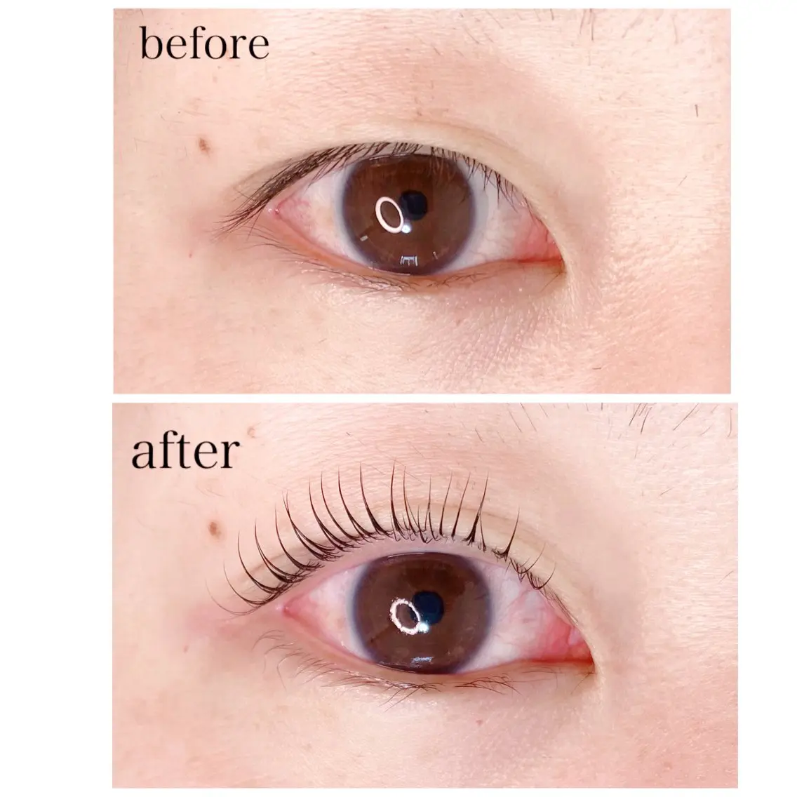 マツエク・マツパ マツパ Anne. eyelashのマツエク・マツパデザイン