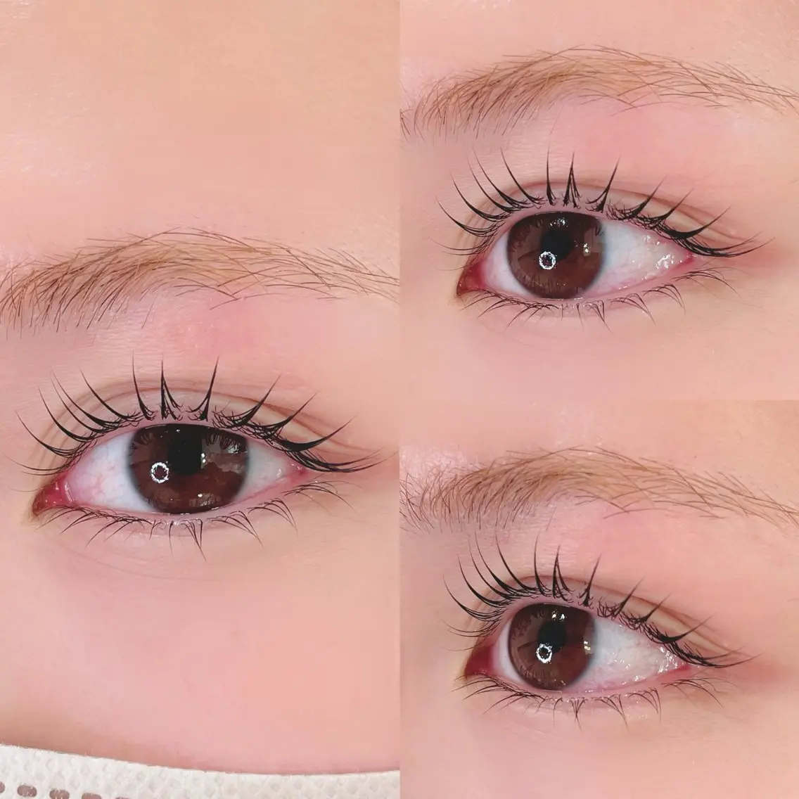 マツエク・マツパ マツパ Maaz lash6🍒のマツエク・マツパデザイン