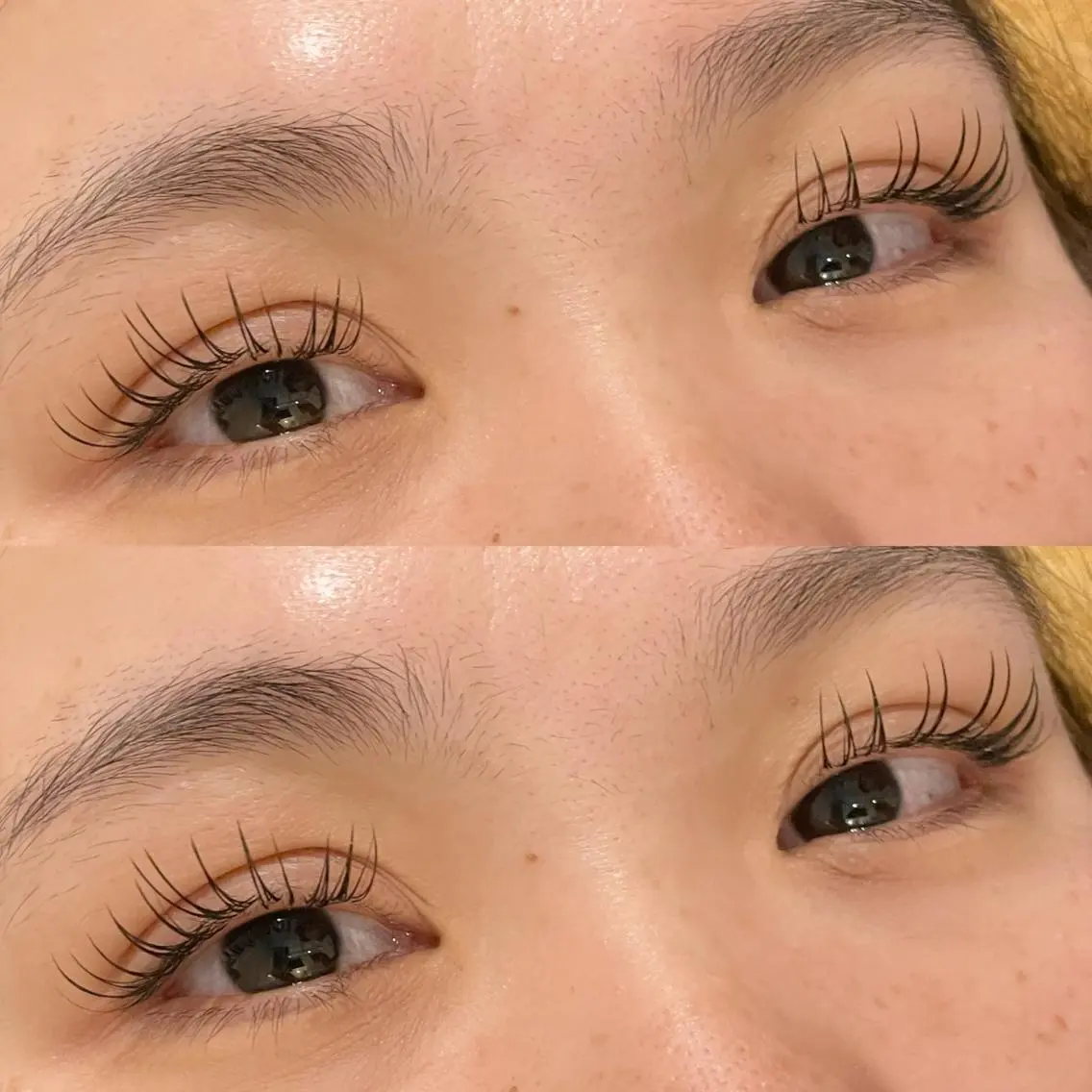 【オフなし】最軽量フラットラッシュ140本🫐 UVカット美容液コーティング付⟡.·の写真