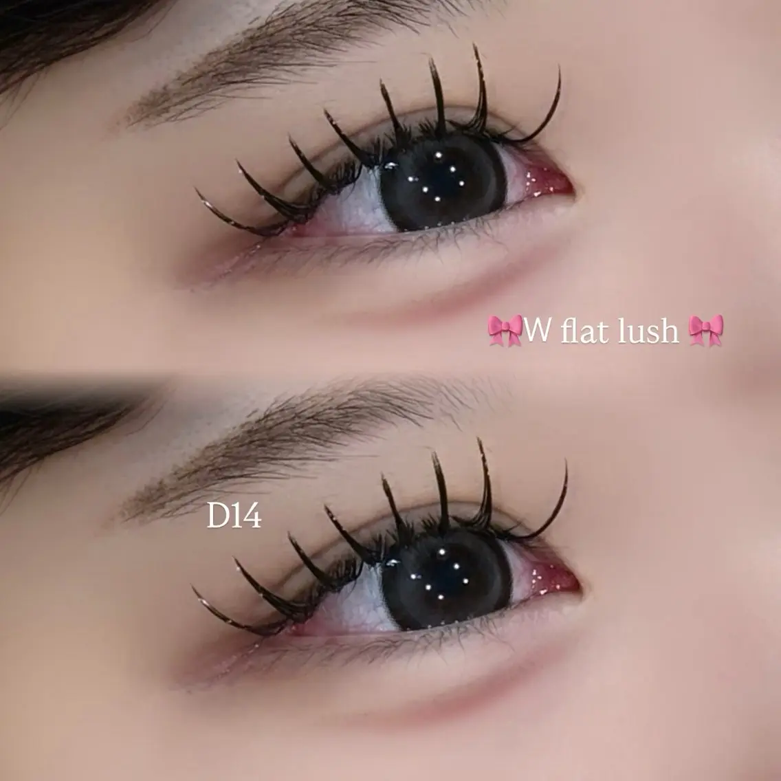 当日限定🎀バインドロックor Wフラット80束🩷【オフ別途】の写真