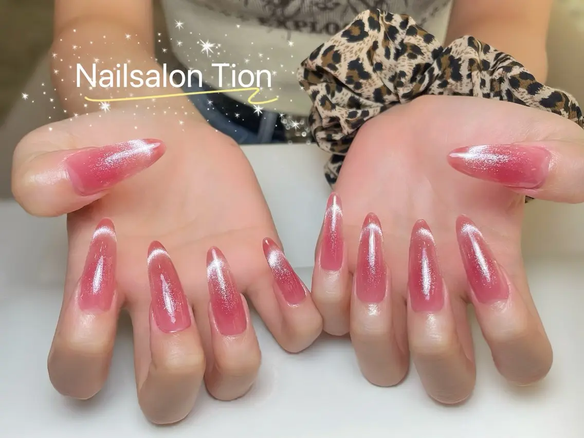 ネイル チークネイル マグネットネイル Nailsalon Tion二子玉川店のネイルデザイン