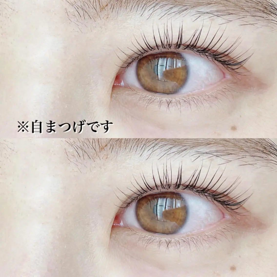 マツエク・マツパ まつげパーマ oma 🕊MISAKIのマツエク・マツパデザイン
