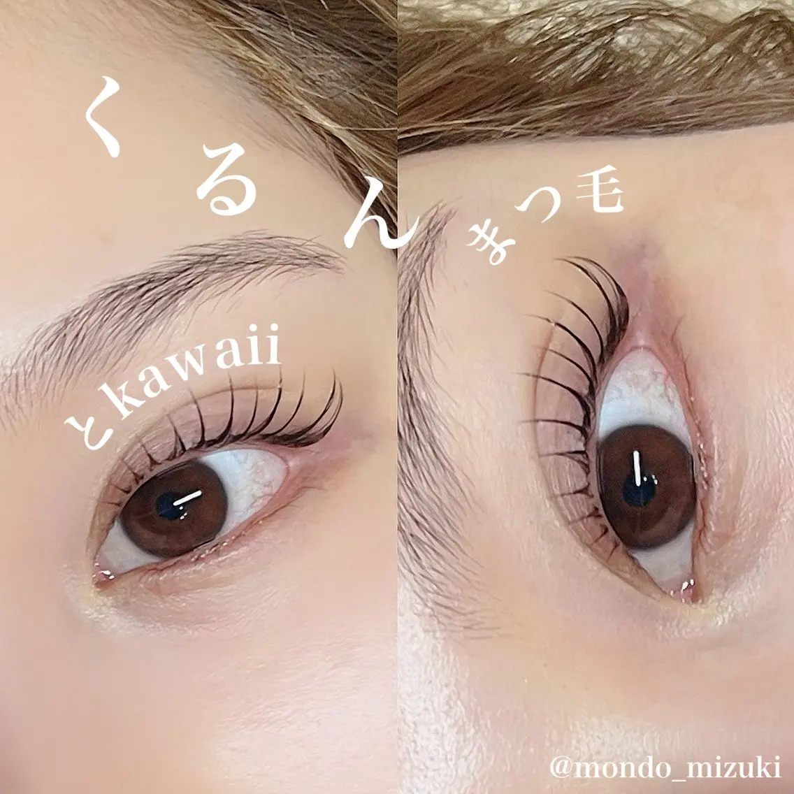 マツエク・マツパ 韓国風マツエク 一重×まつ毛パーマ MONDO MIZUKIのマツエク・マツパデザイン