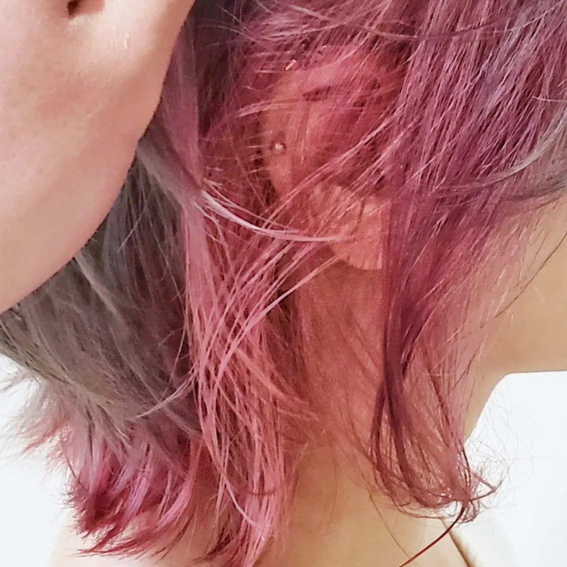 カラー ピンクカラー ヘアカラー デザインカラー 小西勇次のヘアスタイル