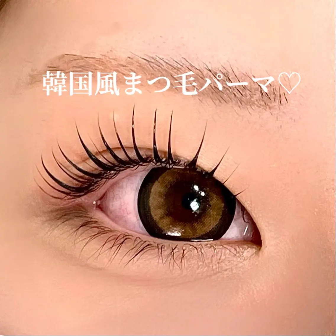 【下まつ毛パーマ🤍中顔面短縮見せ✨】の写真