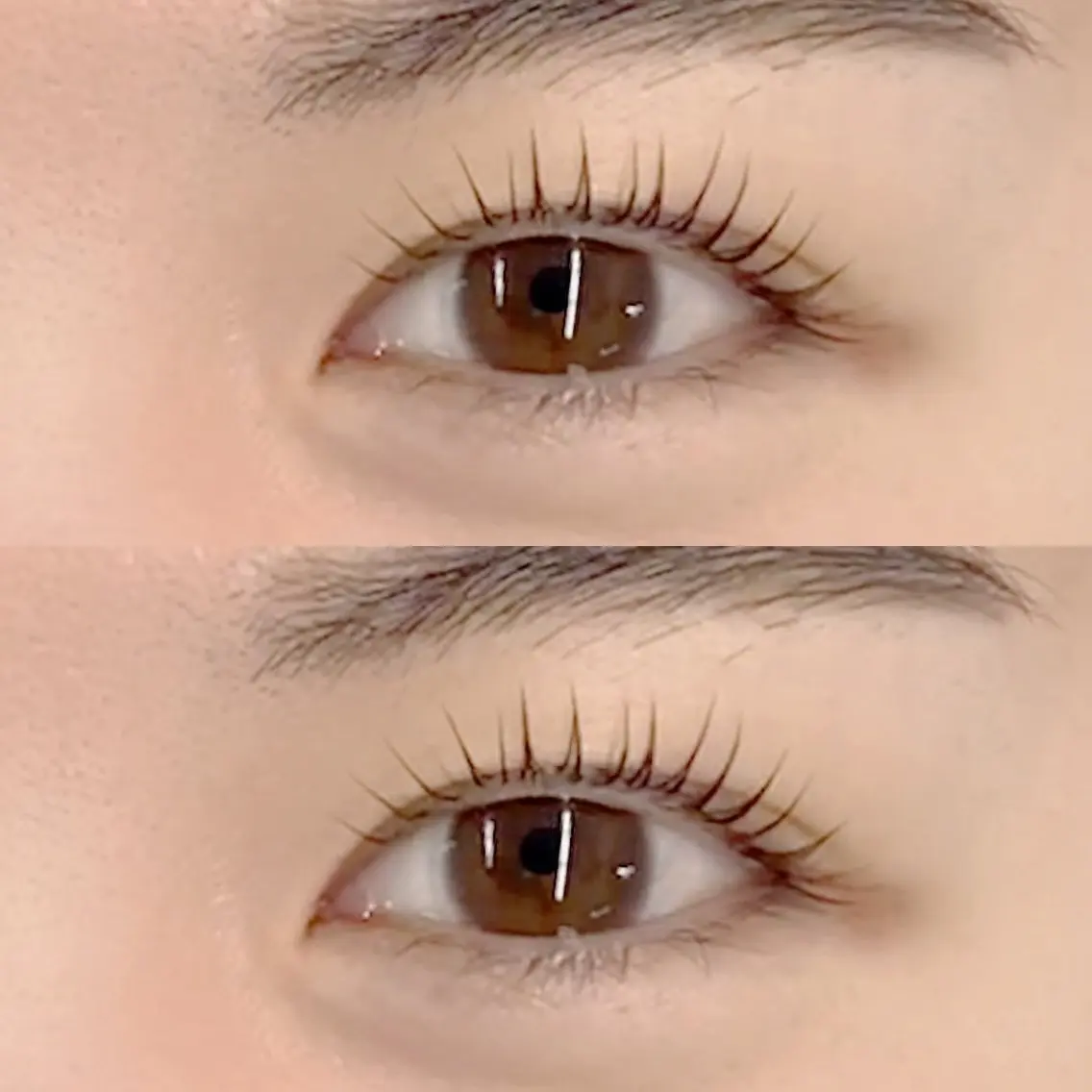 マツエク・マツパ まつげパーマ フジ ワラの眉毛・アイブロウイメージ
