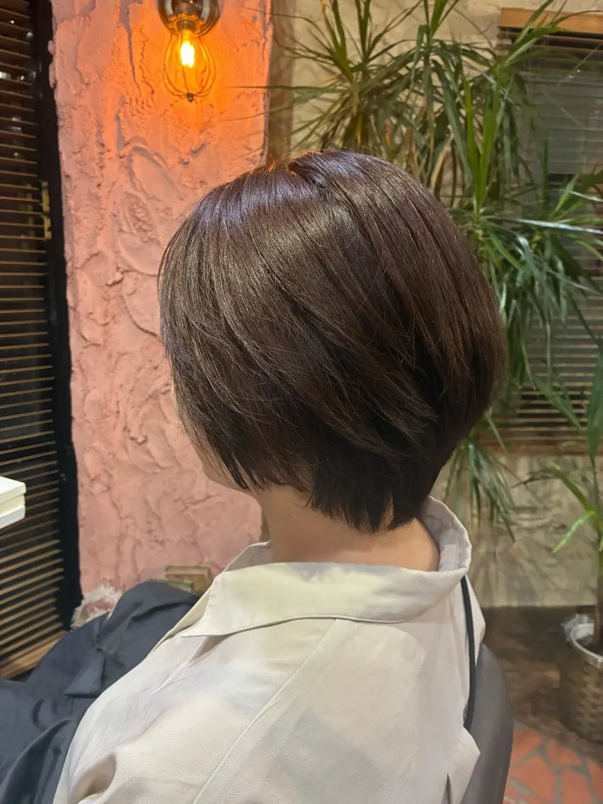 カットの写真