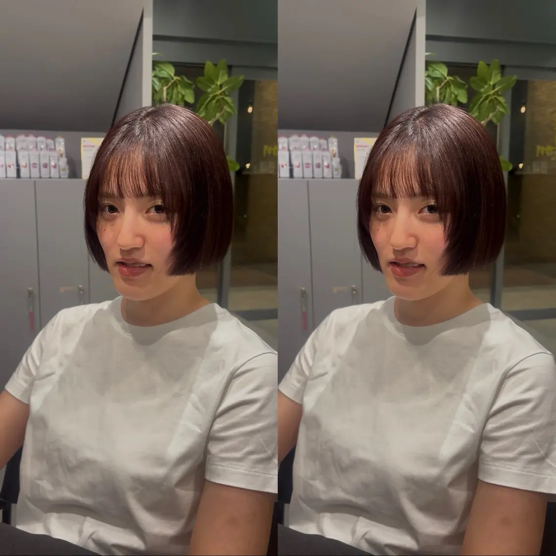 ショート カラー カット ヘアカラー トリートメント JUMI/ショート/ ボブ/透明感カラー✨のヘアスタイル