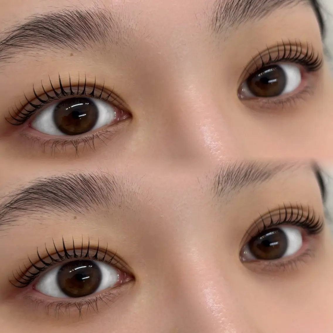 マツエク・マツパ 🍒Yui 🍒eyelashの眉毛・アイブロウイメージ