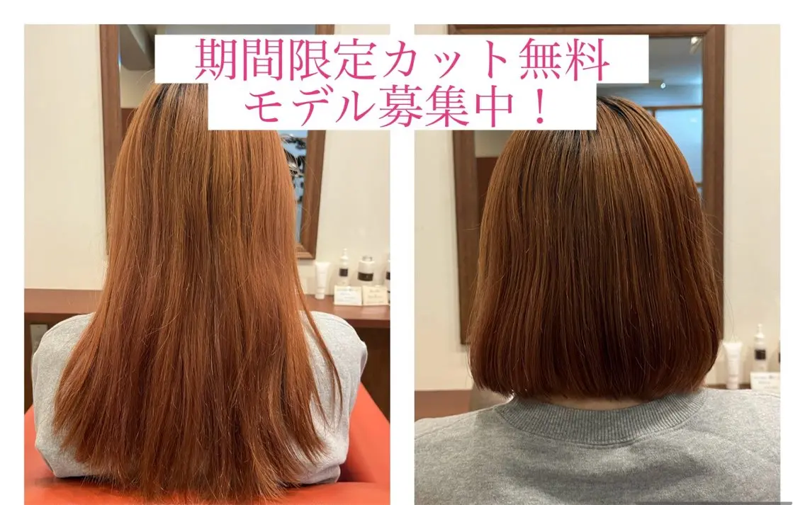 ミディアム ボブ カット無料　カット モデル募集中　網谷のヘアスタイル