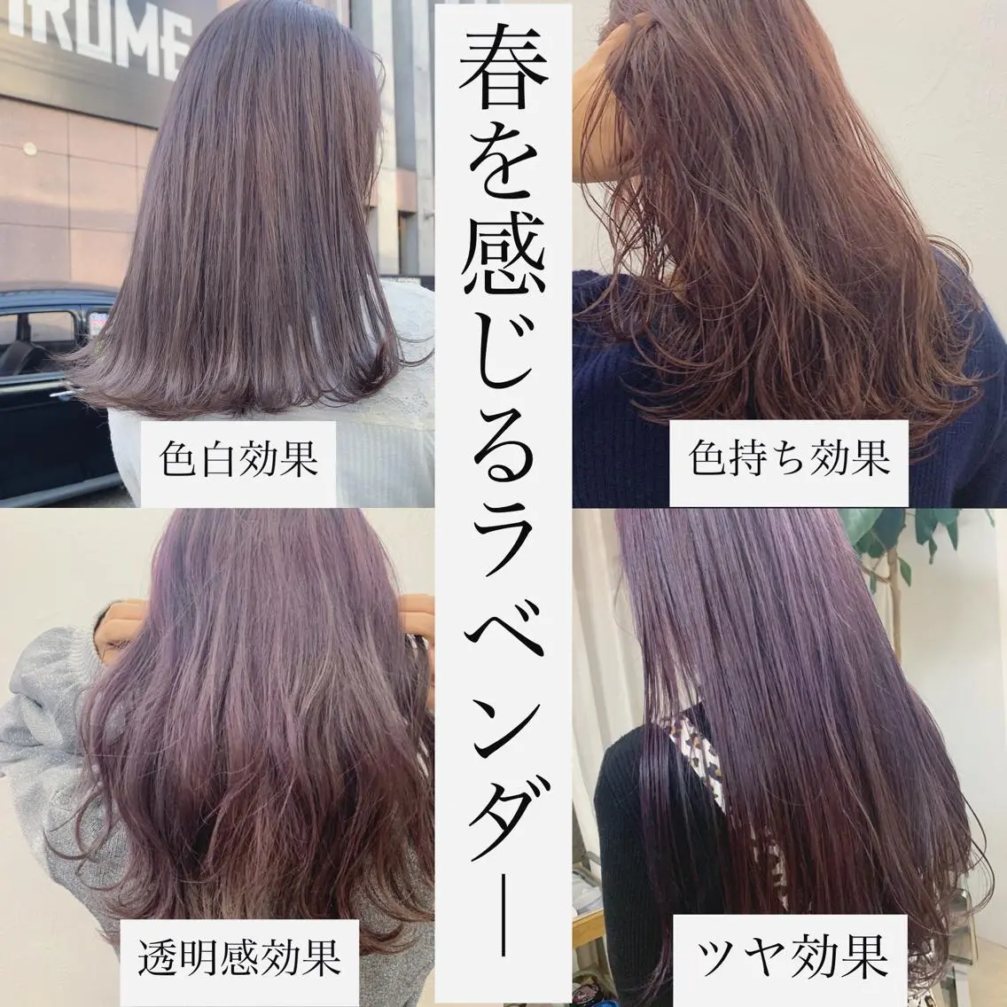 ロング カラー ハイトーンボブ 前田 表参道　グレージュのヘアスタイル