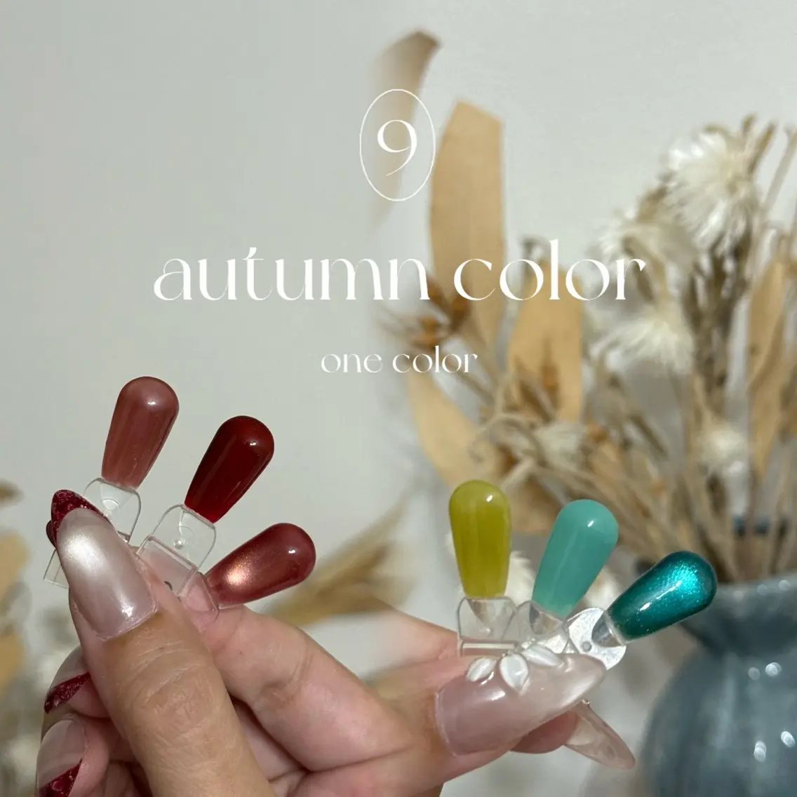 autumn color 🎀 秋色ワンカラーの写真