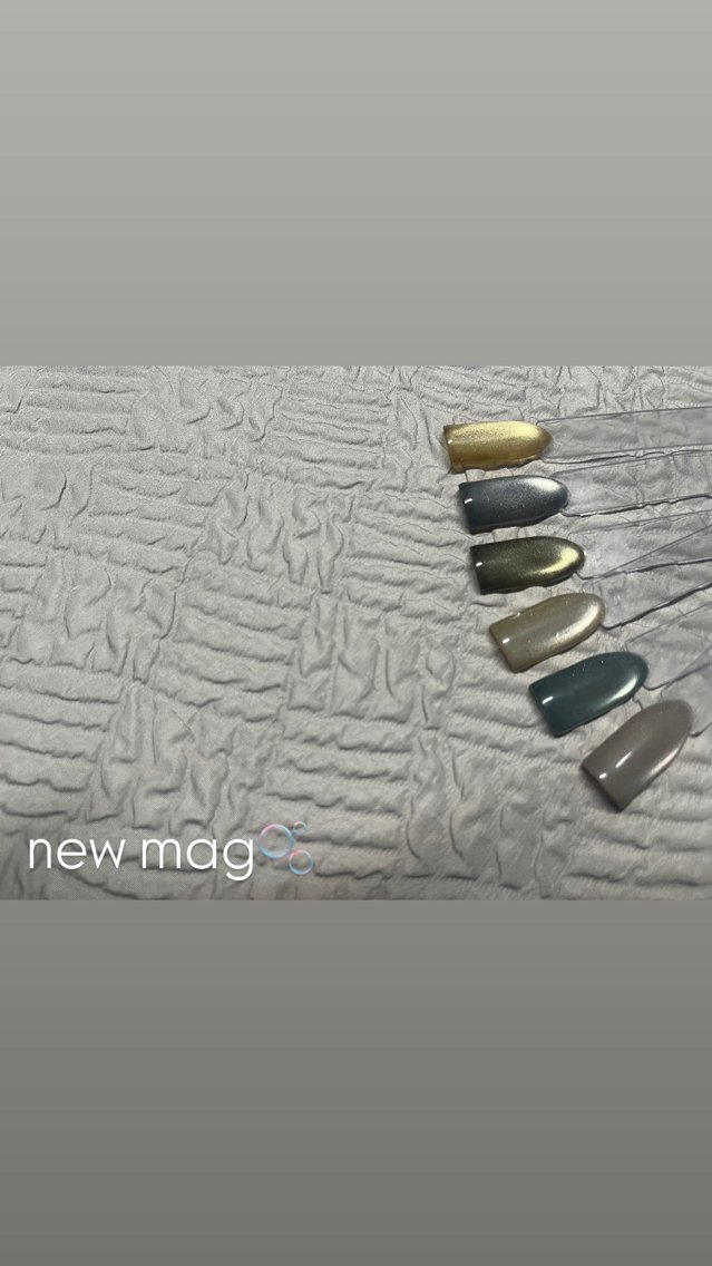 ネイル マグネットネイル A"nail ネイリストayanaのネイルデザイン