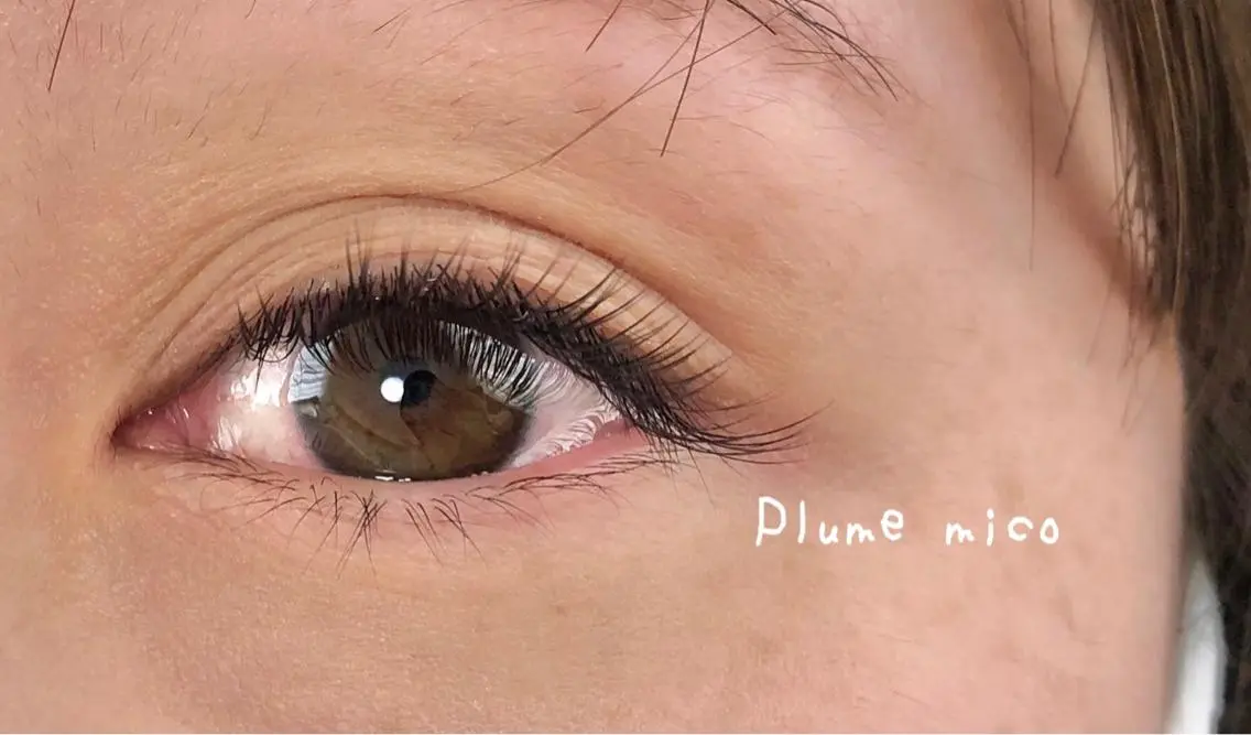 マツエク・マツパ マツエク Plume micoのマツエク・マツパデザイン