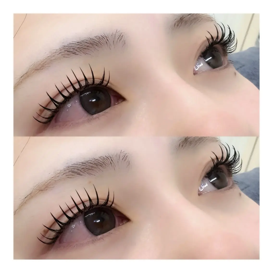 🩵ダブルフラットorバインドロック"50束"🩵の写真