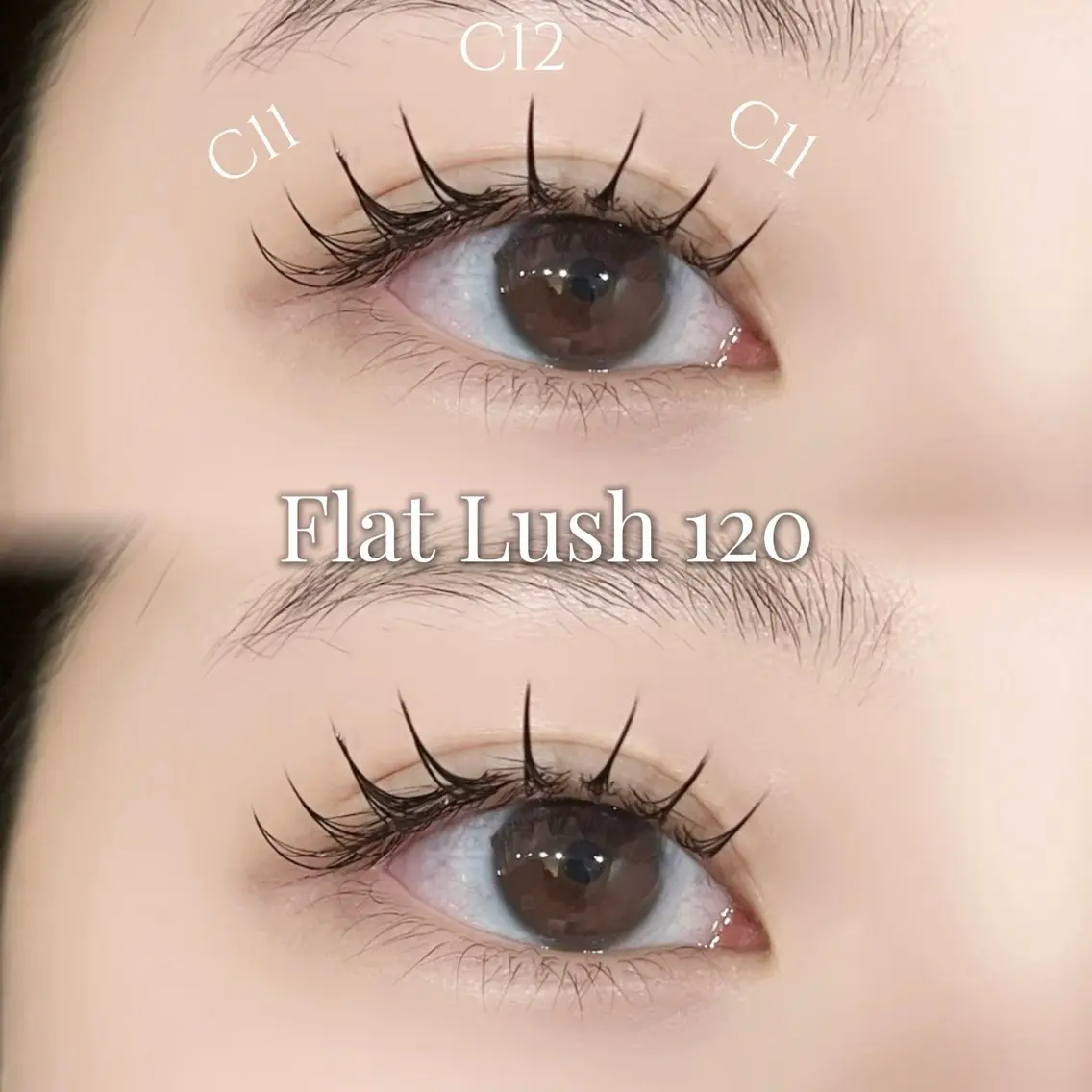 練習モデル様募集中🌟ミニモ限定価格✅シングルエクステ120本保証🎀(オフ+¥550)の写真