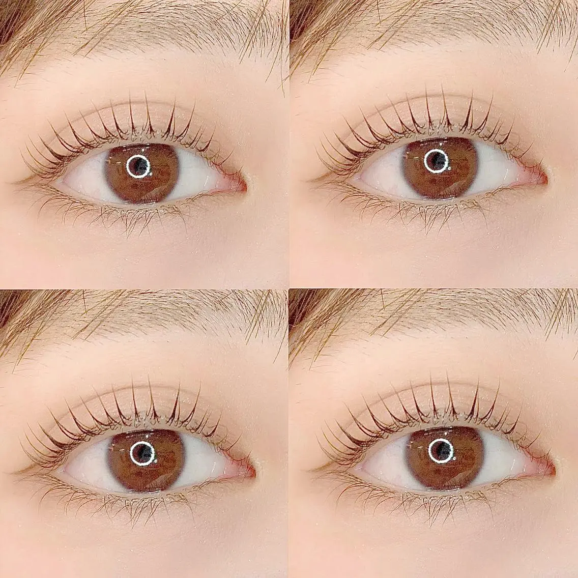 マツエク・マツパ まつげパーマ Very 井上の眉毛・アイブロウイメージ
