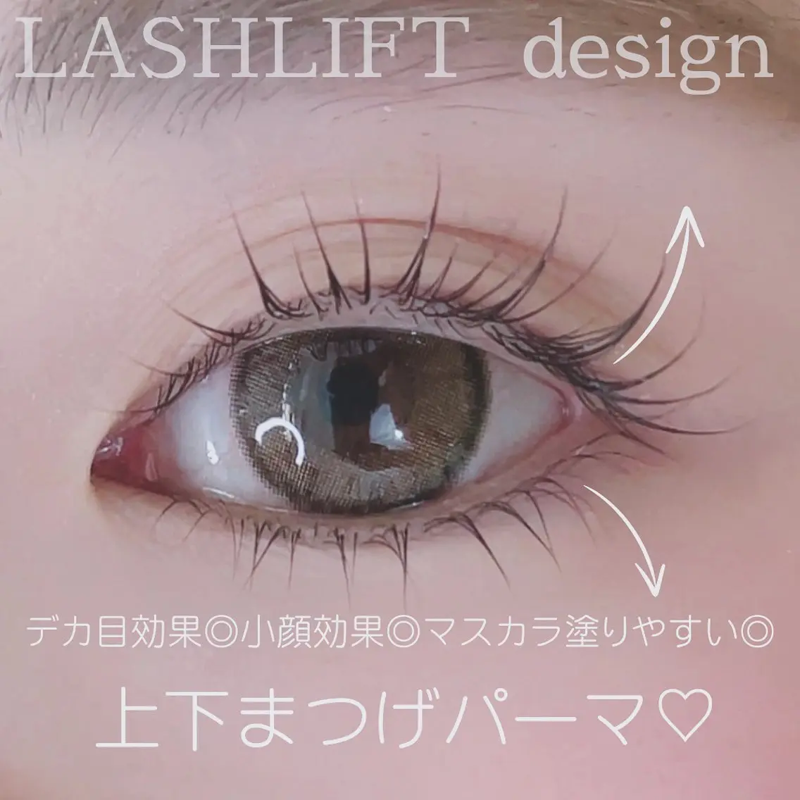 ラッシュリフト上下👀✨パッチリな目元へ🫶🏼の写真