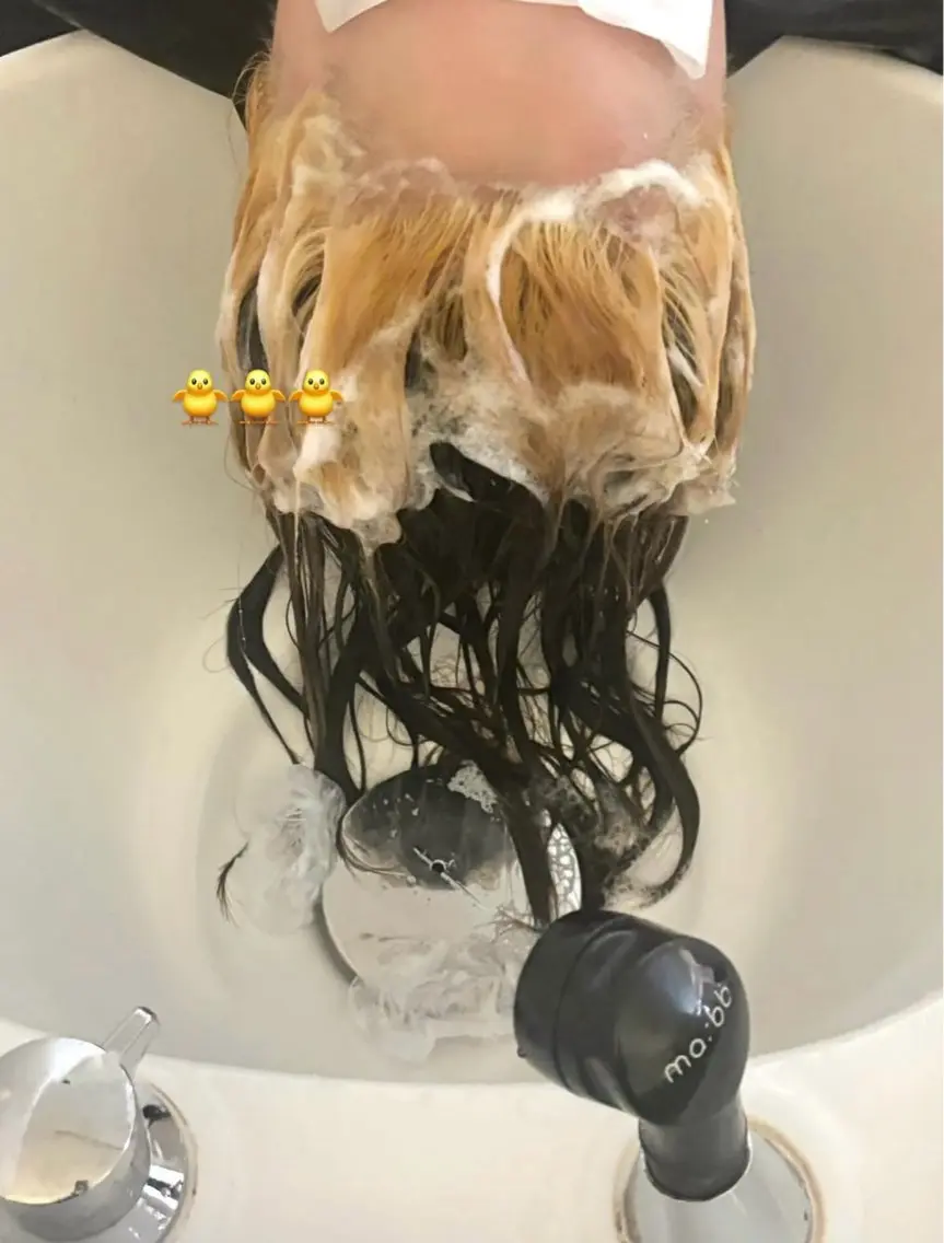 セミロング ハネダ 🌱🐶のヘアスタイル