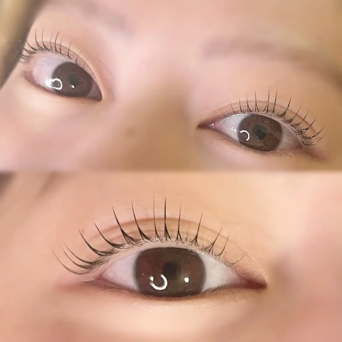 マツエク・マツパ マツパ eyelash MEGOCOROのマツエク・マツパデザイン