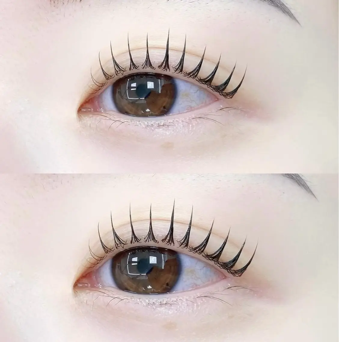 マツエク・マツパ 🦋Richelle beauty🦋のマツエク・マツパデザイン