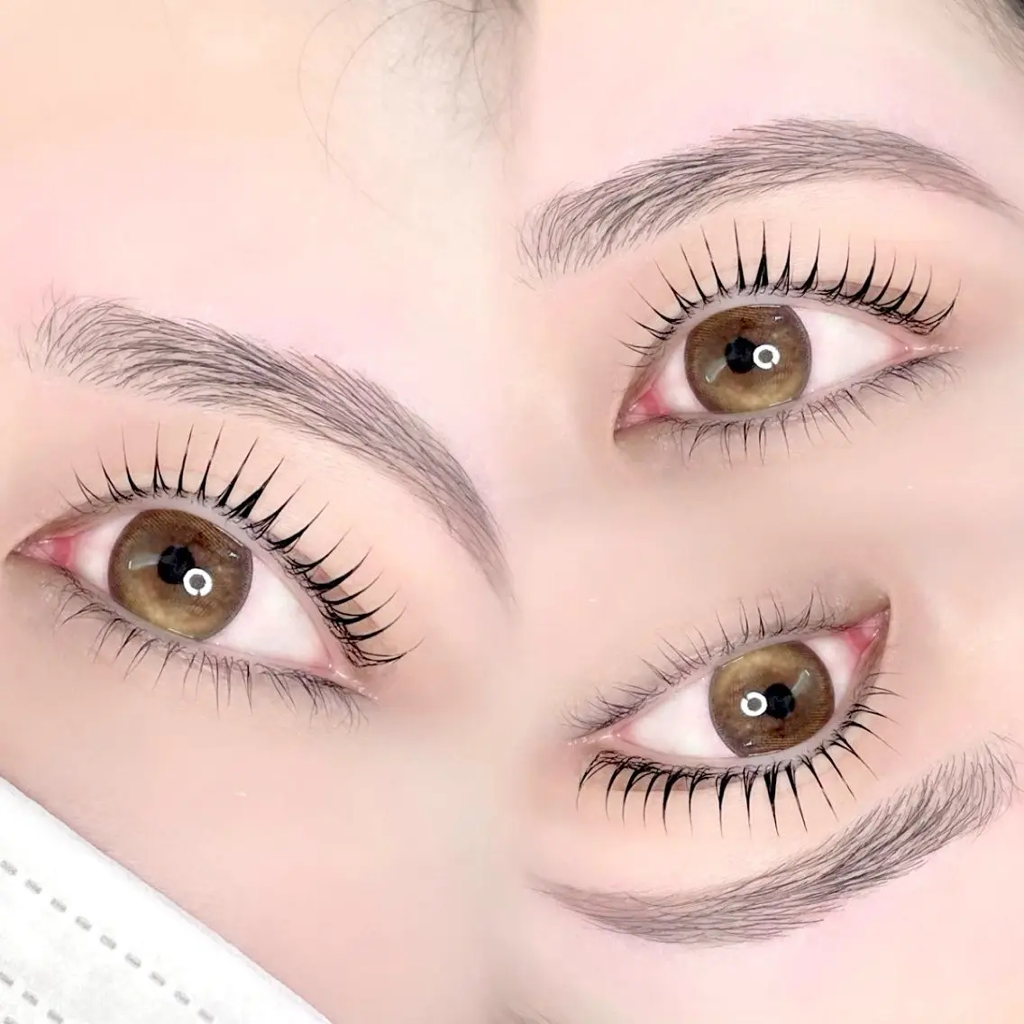 上下まつ毛パーマor上下パリジェンヌ+眉毛wax (コーティング仕上げ付き)の写真