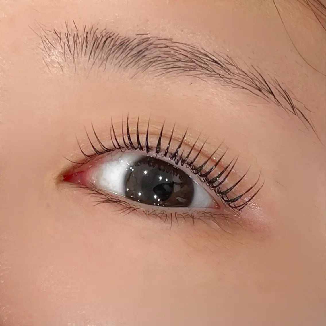 マツエク・マツパ マツパ eyelashZen ♥️HIMEのマツエク・マツパデザイン