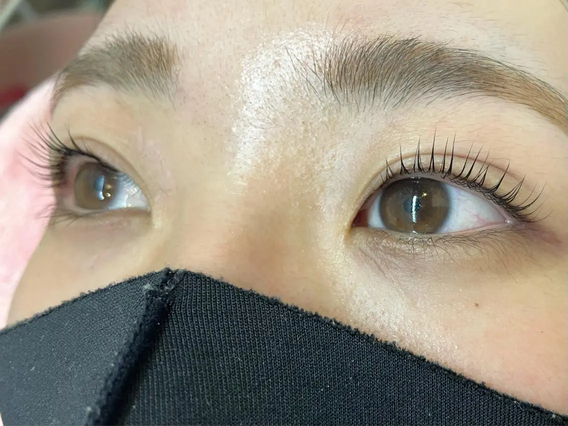 マツエク・マツパ パリジェンヌラッシュリフト bunny eyes 加藤のマツエク・マツパデザイン