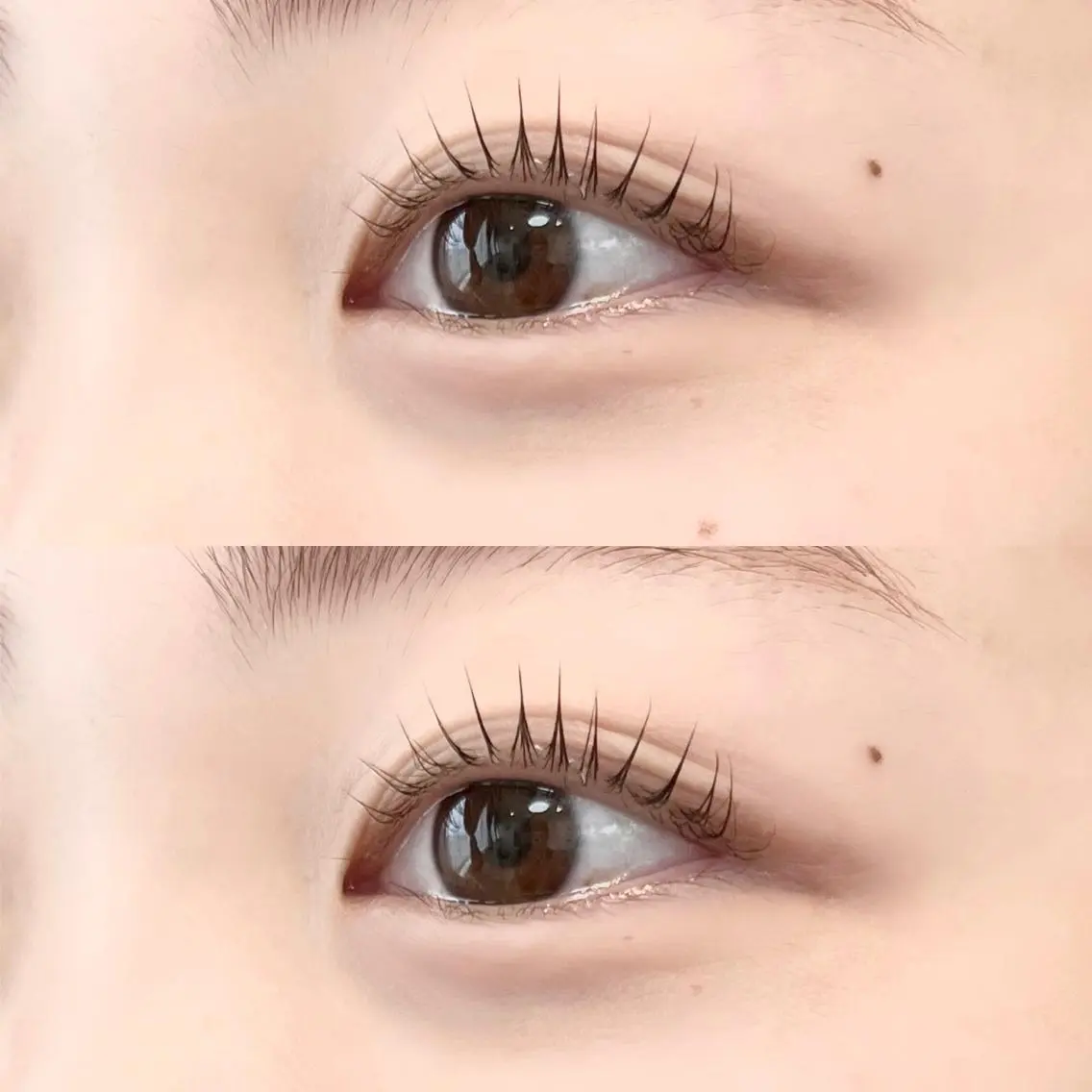 マツエク・マツパ ケラチンラッシュリフト マツパ 🦋平林 未莉🦋✨のマツエク・マツパデザイン