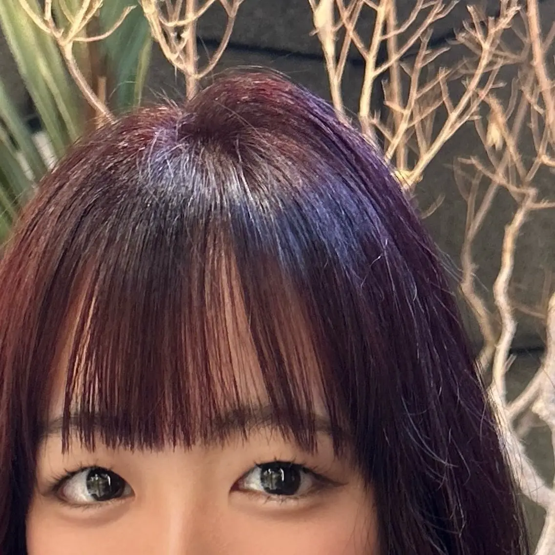 ミディアム カラー カット ヘアカラー トリートメント 🇰🇷レイヤー/ト レンドまつげ🎀ミキのマツエク・マツパデザイン
