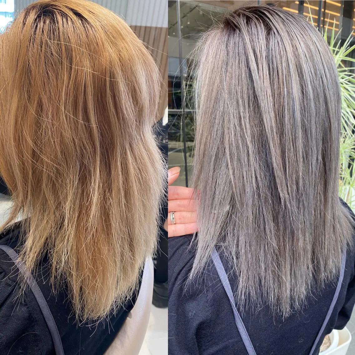 セミロング カラー アッシュ シルバー シルバーアッシュ 髪質改善 トリートメント カット ヘアカラー トリートメント 谷合 貴志のヘアスタイル