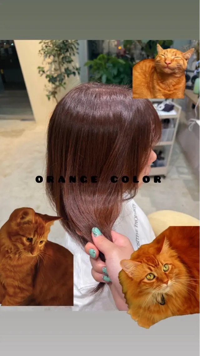 ミディアム カラー ヘアアレンジ ミディアムパーマ イルミナカラー オレンジ レイヤーカット 縮毛矯正 カット ヘアカラー トリートメント 似合わせカット/透明 感カラー/希空のヘアスタイル