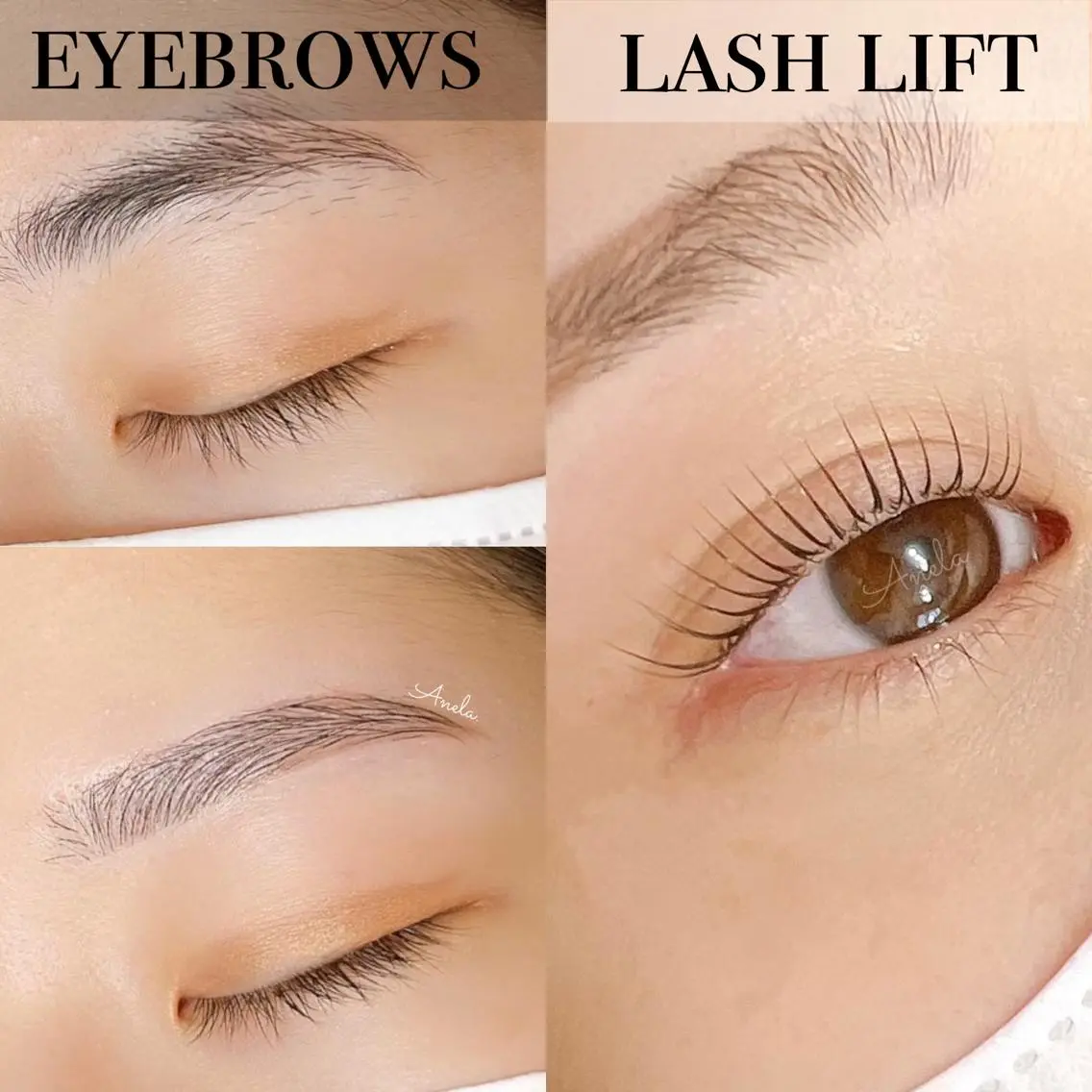 🍀1月限定🍀【set割】ラッシュリフト＋アイブロウwaxの写真