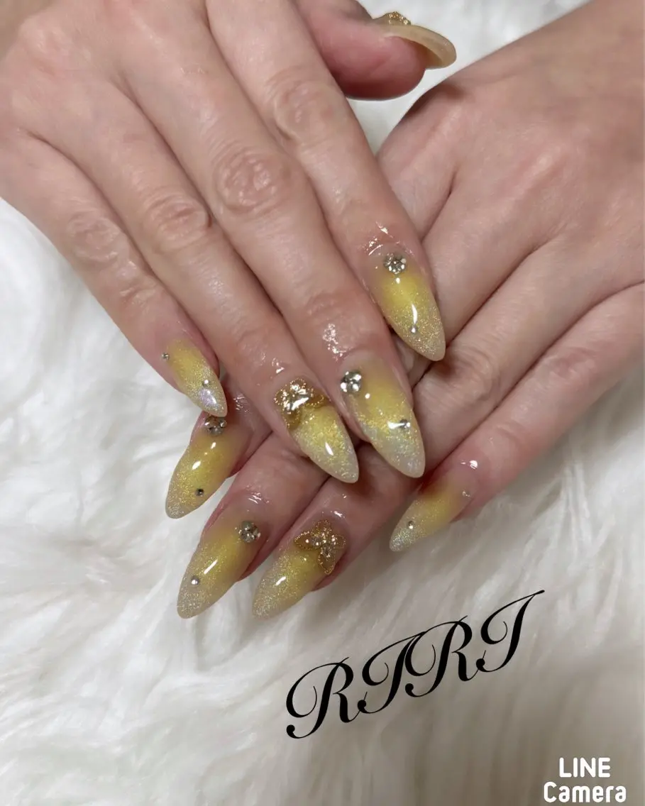 ネイル チークネイル ジェルネイル キラキラネイル マグネットネイル ショートネイル ハンドネイル riri オーナーのネイルデザイン