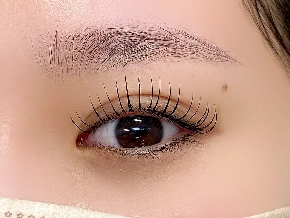 フラットマットラッシュ120本の写真