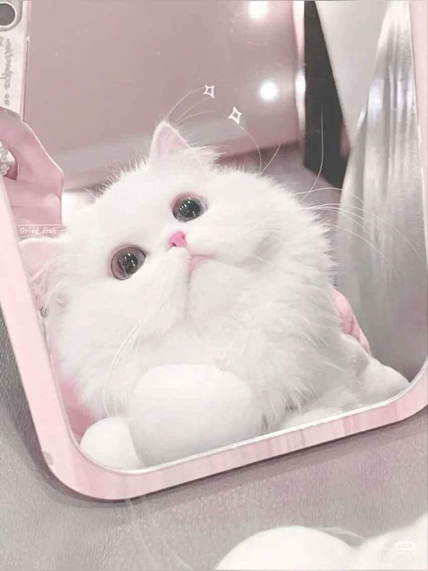 マツエク・マツパ 🎀eyelist. mizuki🐈‍⬛の眉毛・アイブロウイメージ