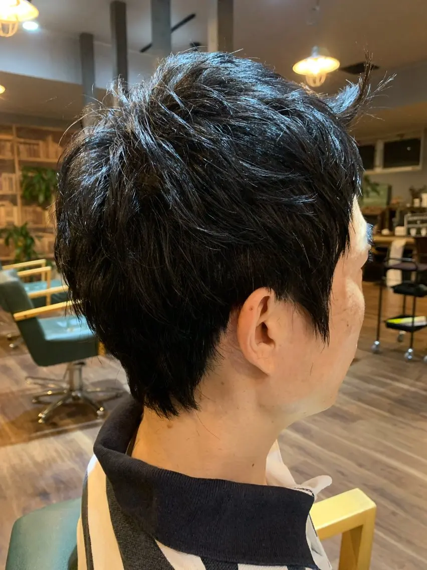 ショート カット 河村 健太のヘアスタイル