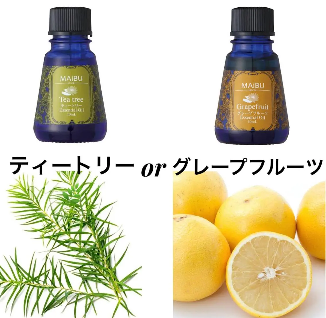 本格ヘッドスパ🌿 ×ヘア 佐藤のヘアスタイル