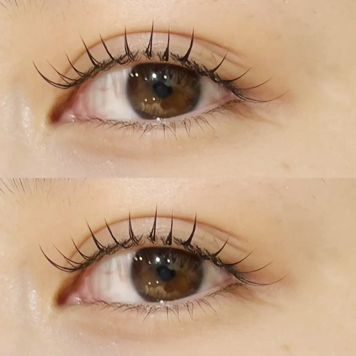 フラットラッシュ 100本の写真