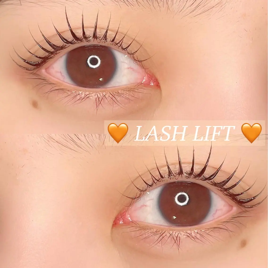 《再来》パリジェンヌorラッシュリフト×アイブロウWAXスタイリング🎀の写真