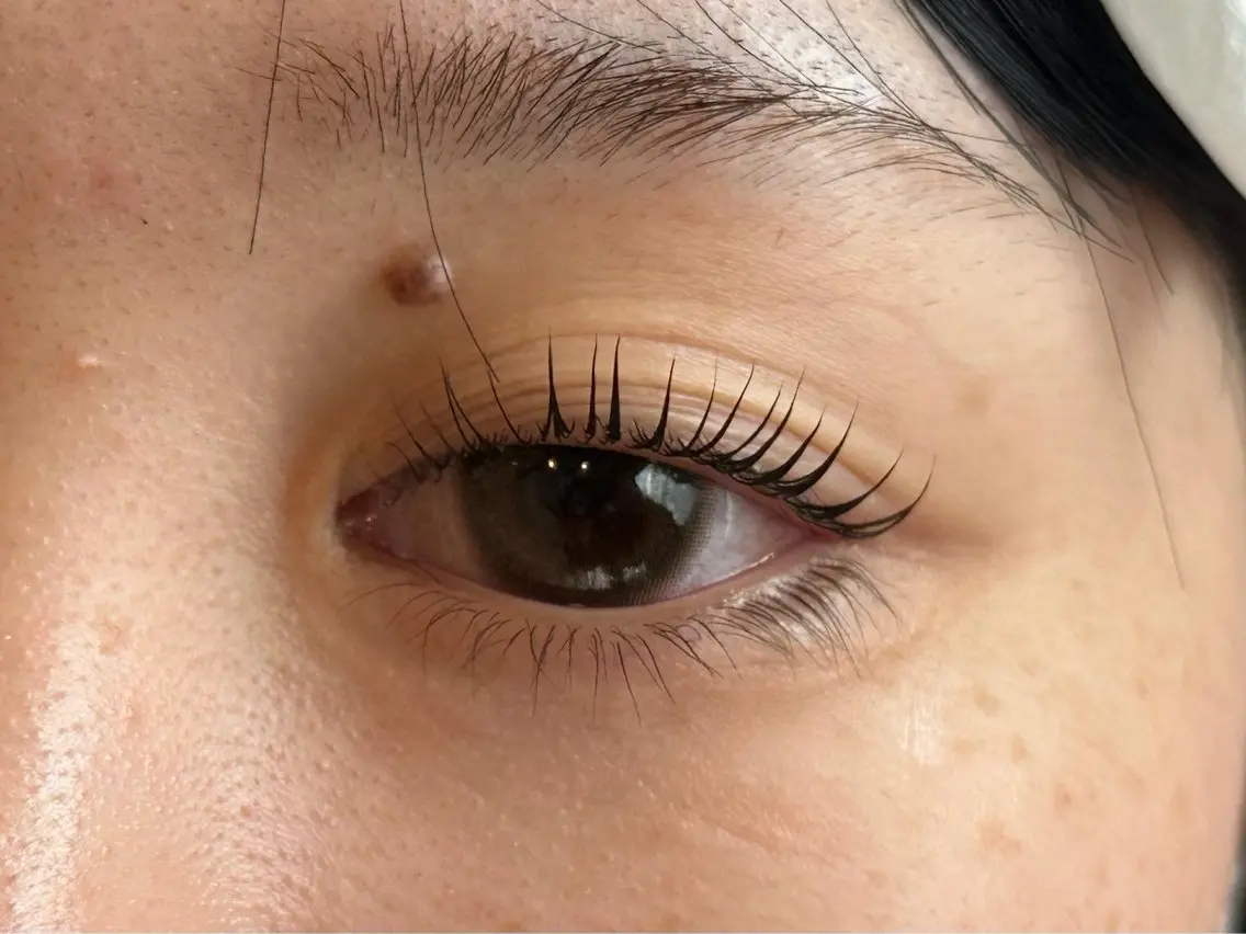 マツエク・マツパ Daisy Lash 土師のマツエク・マツパデザイン