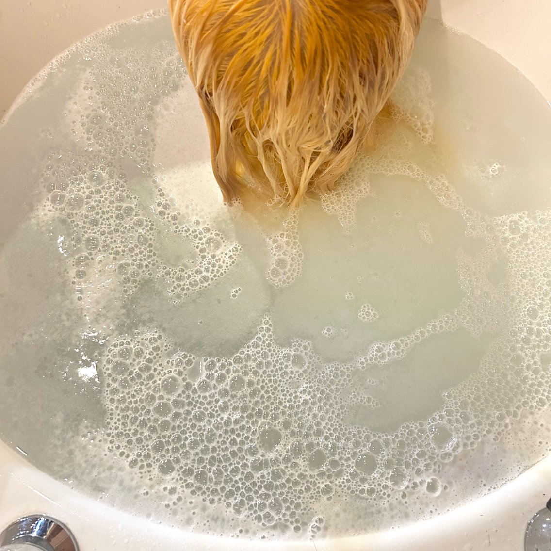 カラー クリヤマ ナナコのヘアスタイル