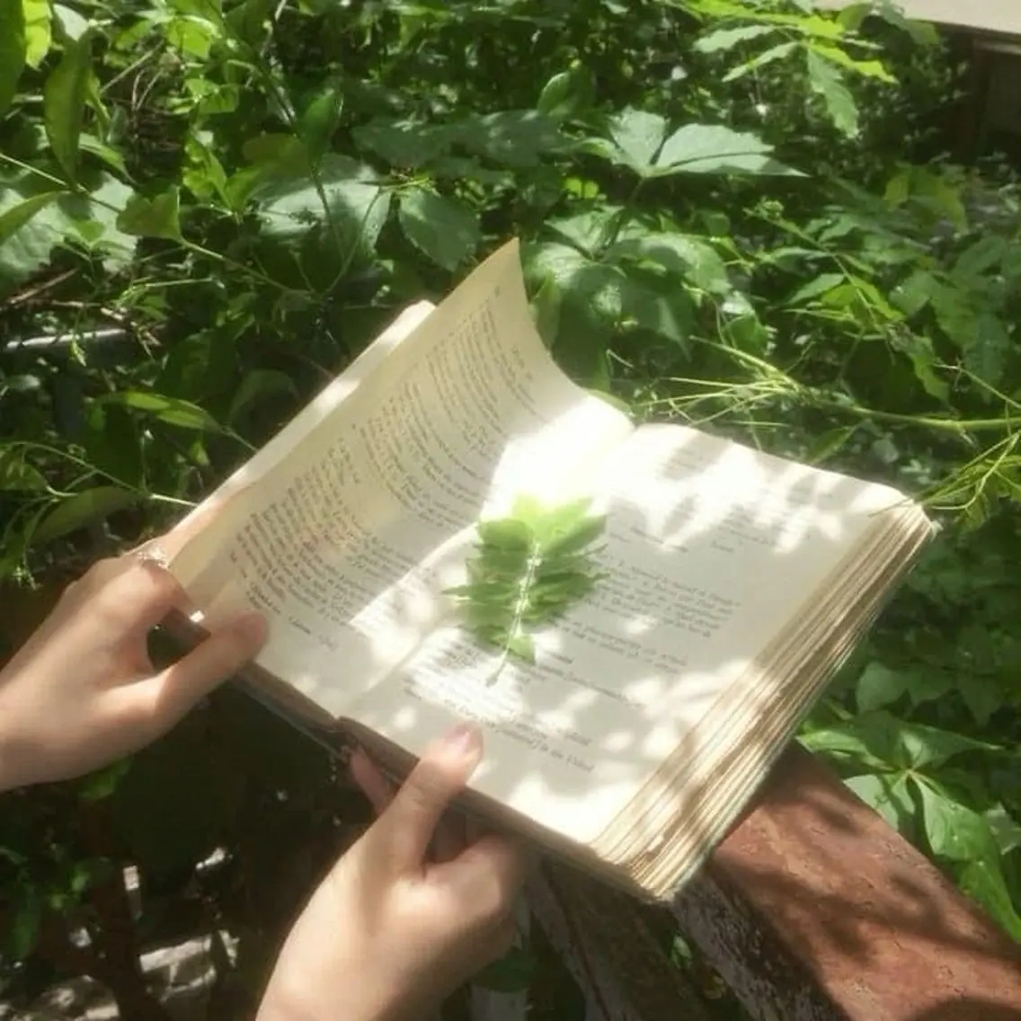 ミディアム 🌱ヘッドスパ🌱 愛衣香🫧のヘアスタイル