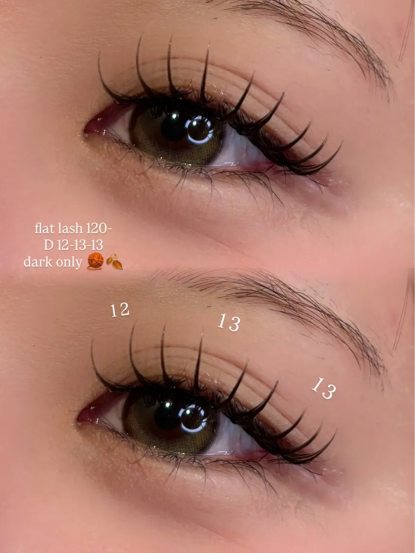フラットラッシュ120本の写真
