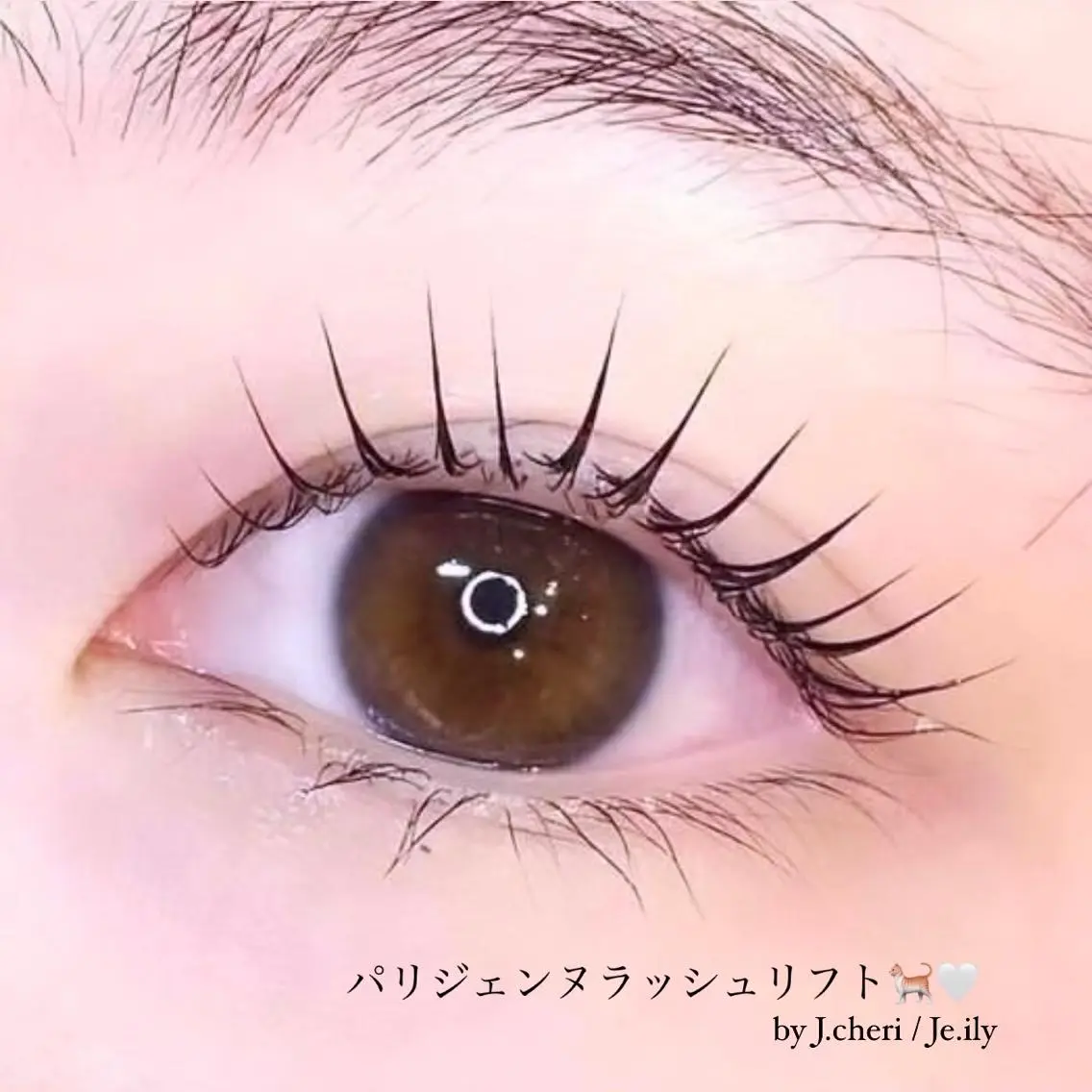 マツエク・マツパ Je.ily honokaのマツエク・マツパデザイン