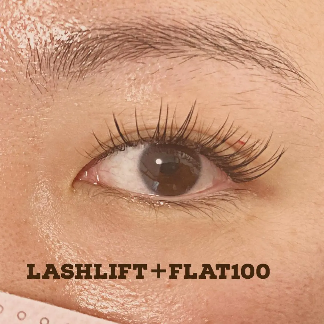 マツエク・マツパ バインドロック カラーマツエク フラットラッシュ パリジェンヌラッシュリフト EYEsalon PATRA《パトラ》のマツエク・マツパデザイン
