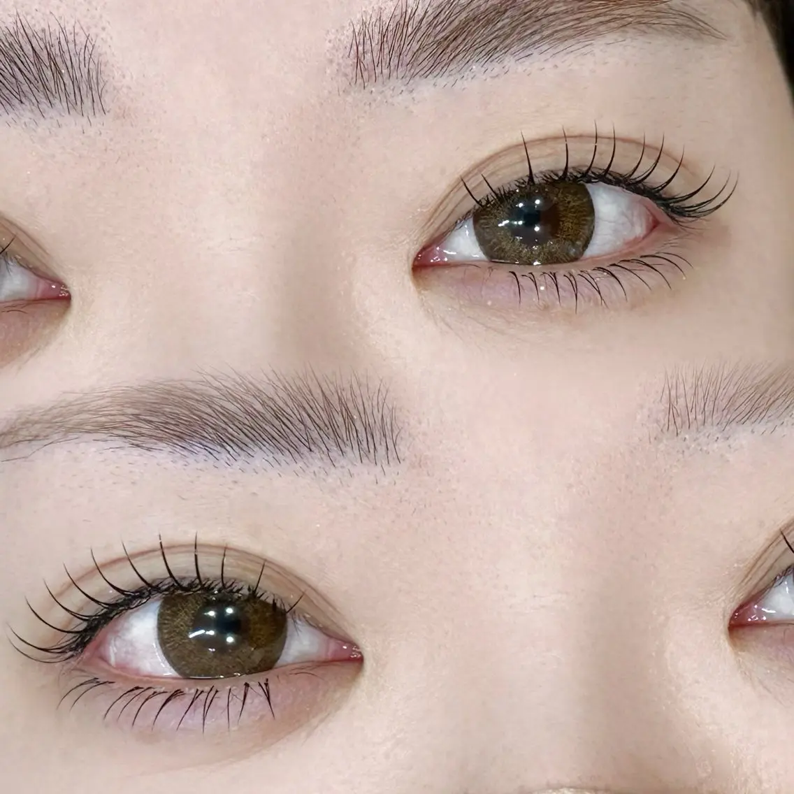 LEDフラット120本+オフ込×LED下エク~50本♡の写真
