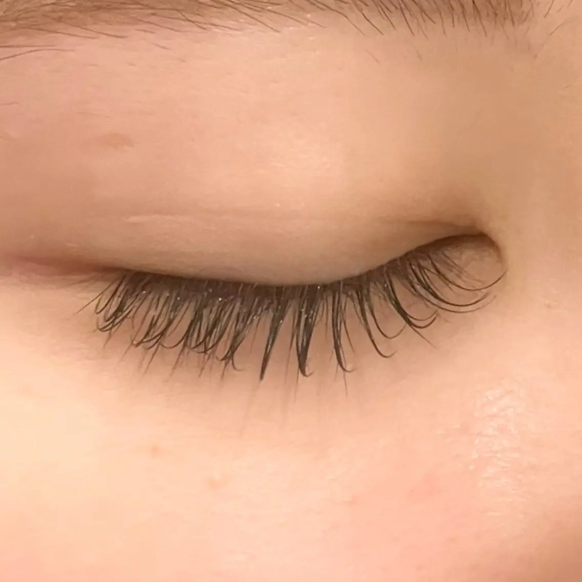 最高級セーブルフラットラッシュ ✨120本【オフ込み】の写真